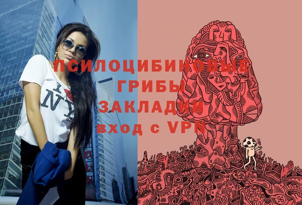 Альфа ПВП Верхний Тагил