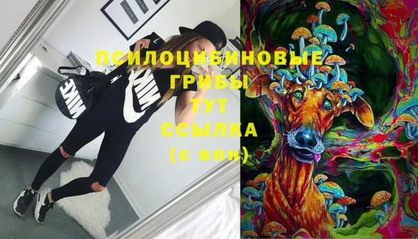 дживик Бронницы