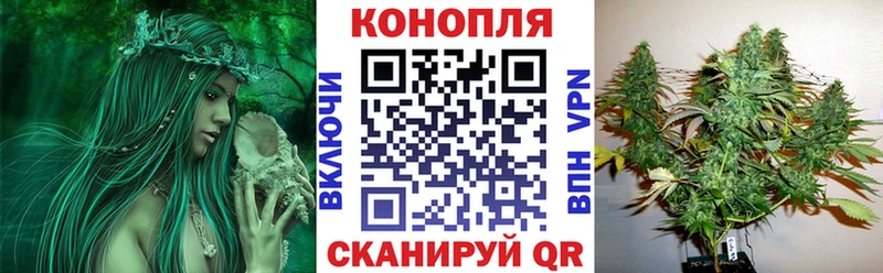 Купить  Кувандык  Шишки марихуана THC 21% 